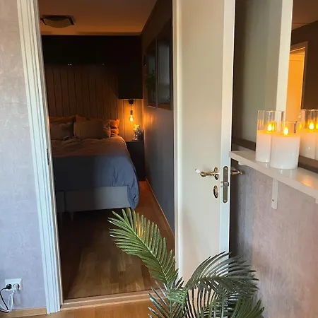 Basement With Private Entrance And Parking