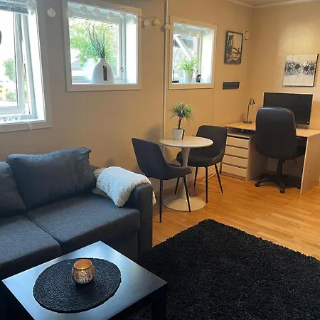 Basement With Private Entrance And Parking 아파트