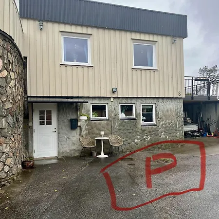 Basement With Private Entrance And Parking *