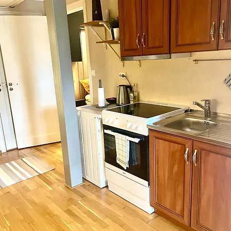 Basement With Private Entrance And Parking *