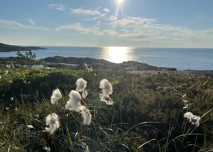 Basement With Private Entrance And Parking * Kristiansund