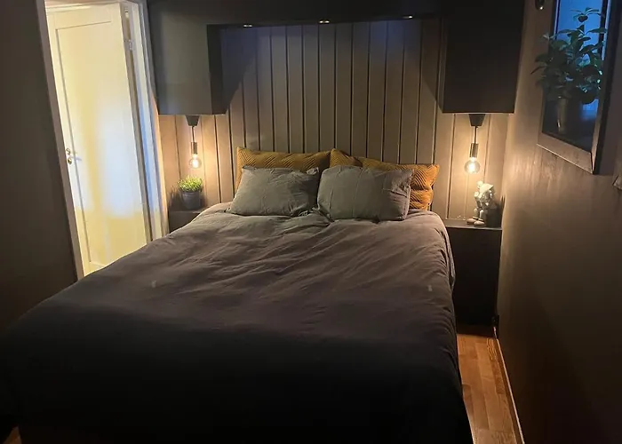 Basement With Private Entrance And Parking Appartement